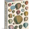 Artisan Puzzles: John Derian - Shells (1000)