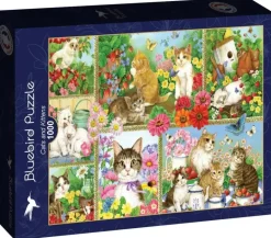 Bluebird Puzzle: Cats and Kittens (1000)