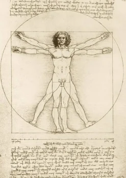 Bluebird Puzzle: Da Vinci - The Vitruvian Man, 1490 (1000)