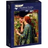 Bluebird Puzzle: John William Waterhouse - The Soul of the Rose, 1903 (1000)