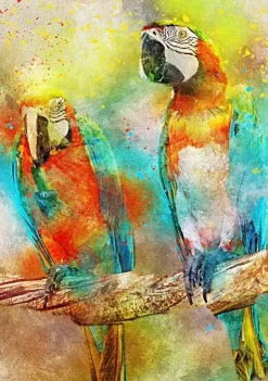 Bluebird Puzzle: Parrots (1000)