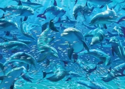 Cheatwell: Double Trouble - Dolphins (500)