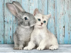 Clementoni: Cat & Bunny (500)