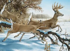 Cobble Hill: Breaking Cover (1000)