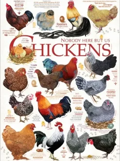 Cobble Hill: Chicken Quotes (1000)
