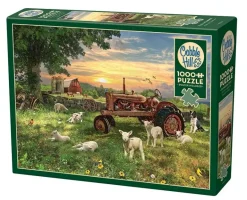 Cobble Hill: Field at Sunrise (1000)