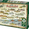 Cobble Hill: Freshwater Fish of North America (1000)