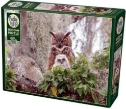 Cobble Hill: Great Horned Owl (1000)