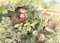 Cobble Hill: Hidden Nest (1000)