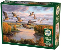 Cobble Hill: Migration (1000)