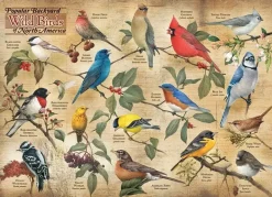 Cobble Hill: Popular Backyard Wild Birds of North America (1000)
