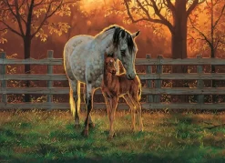 Cobble Hill: Quiet Time (500)