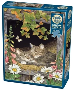 Cobble Hill: Sisters (500)