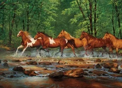 Cobble Hill: Spring Creek Run (1000)