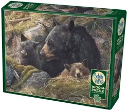 Cobble Hill: Twice the Love (1000)