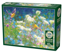 Cobble Hill: Visiting the Meadow (1000)