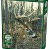 Cobble Hill: White-Tailed Deer (1000)
