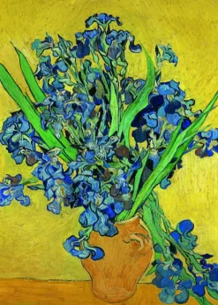 D-Toys: Vincent Van Gogh - Irises (1000)