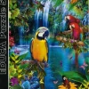 Educa: Bird Tropical Land (500)