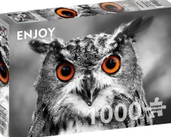 Enjoy: Curious Owl (1000)