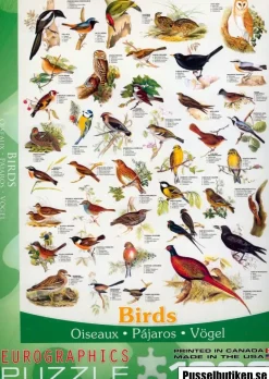 EuroGraphics: Birds (1000)