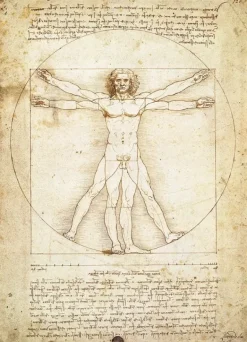 EuroGraphics: Da Vinci - The Vitruvian Man (1000)