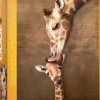 EuroGraphics: Giraffe Mother's Kiss (1000)