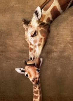 EuroGraphics: Giraffe Mother's Kiss (1000)