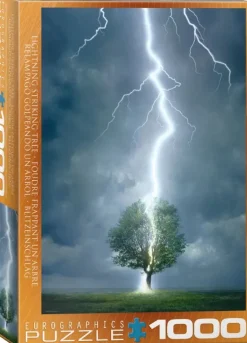 EuroGraphics: Lighting Striking Tree (1000)