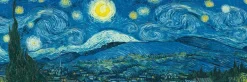 EuroGraphics: Panorama - Vincent Van Gogh, Starry Night (1000)