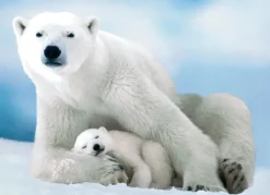 EuroGraphics: Polar Bear and Baby (1000)