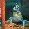 EuroGraphics: Red-Eyed Tree Frog (1000)
