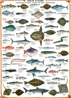 EuroGraphics: Sea Fish (1000)