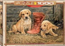 EuroGraphics: Something Old, Something New (1000)