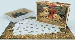 EuroGraphics: Something Old, Something New (1000)