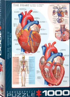 EuroGraphics: The Heart (1000)