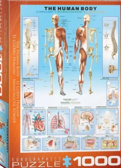 EuroGraphics: The Human Body (1000)