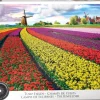 EuroGraphics: Tulip Fields (1000)