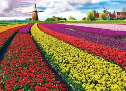EuroGraphics: Tulip Fields (1000)