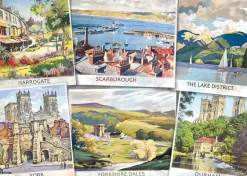 Falcon: The Beautiful North (1000)