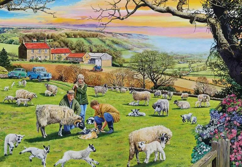 Gibsons: Call the Vet (4 x 500)