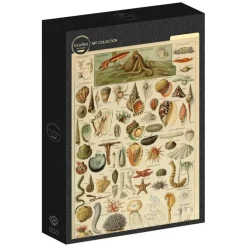 Grafika: Larousse - Molluscs II (1000)