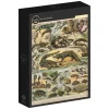 Grafika: Nouveau Larousse - Reptiles (1000)