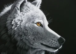 Grafika: Schim Schimmel - Wolf Light (1000)