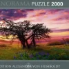 Heye: Panorama - Humboldt, Oak Tree (2000)