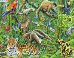 Larsen: Rampussel - Regnskog med Vilda Djur och Myrslok (70)