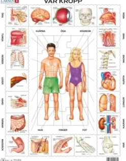 Larsen: Rampussel - Vår Kropp (35)