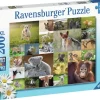Ravensburger: Baby Animals (200)