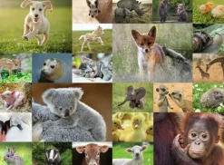 Ravensburger: Baby Animals (200)