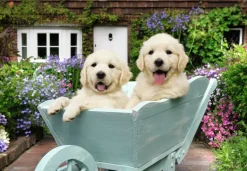 Ravensburger: Golden Retriever (200)